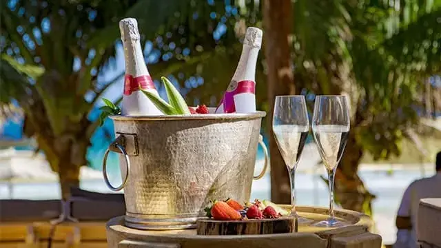 champagneras en Tantra Tulum