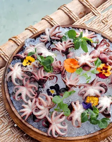 Pulpo baby de Indonesia