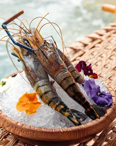Madagascar shrimp